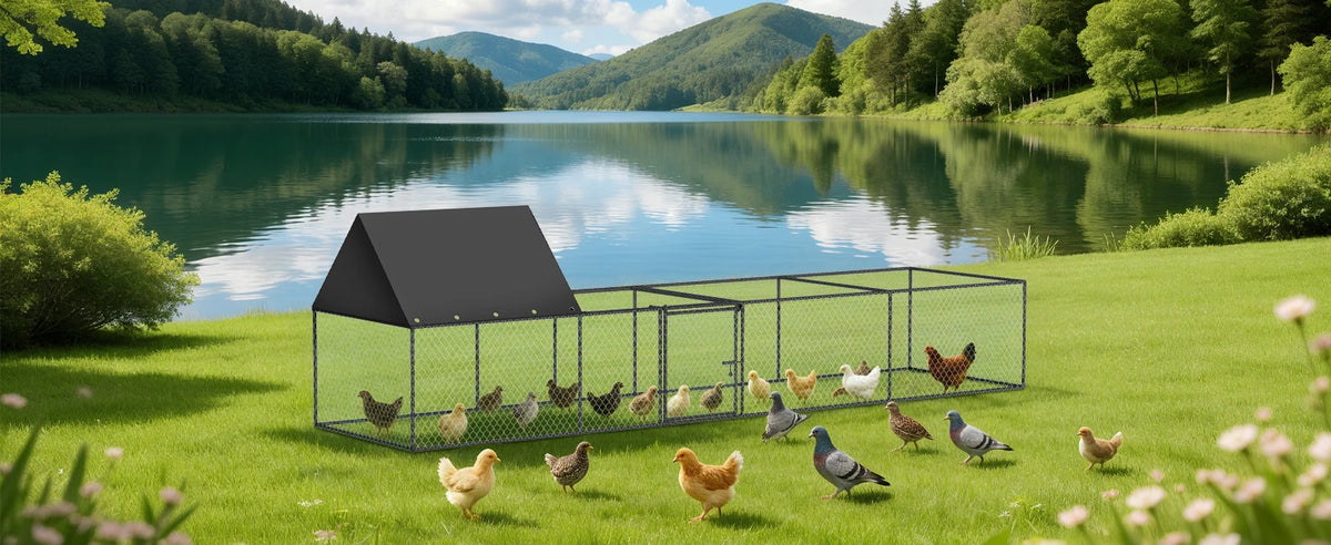 Bowart Large Outdoor Chicken Coop Cage Hen House Run