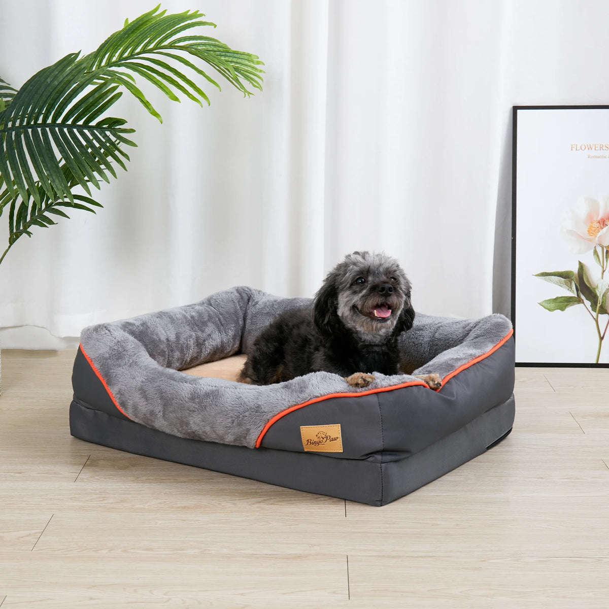 Bingopaw Super Soft Orthopedic Dog Bed With Removable Cover