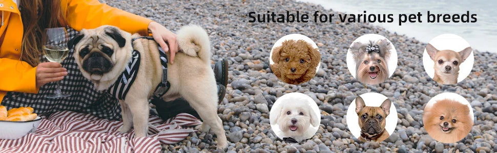 Pet Dog Stroller Foldable Travel Carrier Strolling Cart Cat Dog Pushchair Jogger Dog Pram Cat Buggy with 4 Wheels and Rain Cover
